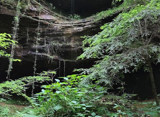alabama/sipsey-wilderness/attraction/sipsey-river-picnic-area