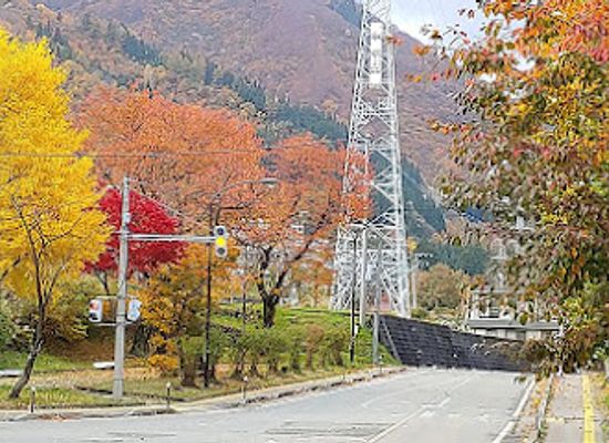 japan/kai/attraction/mondo-park