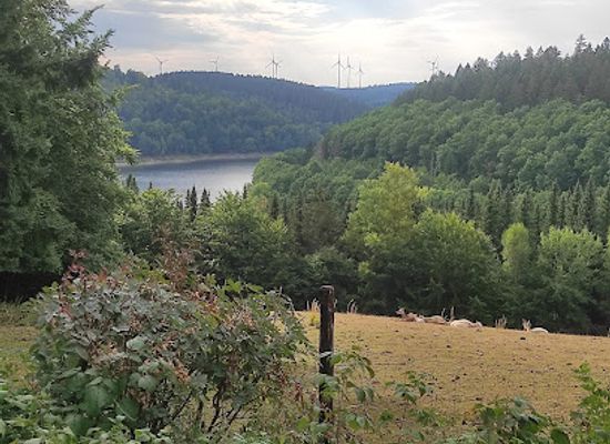 germany/eifel-national-park/attraction/greifvogelstation-wildfreigehege-hellenthal