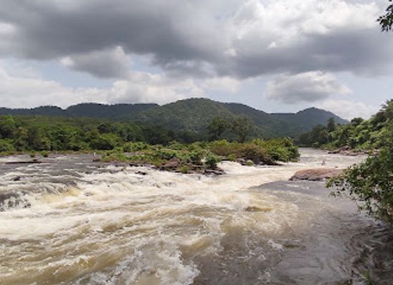 india/kerala/attraction/njandamkuth-waterfalls