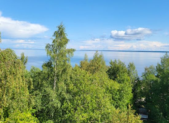estonia/lahemaa-national-park/attraction/masti-vaatamistorn