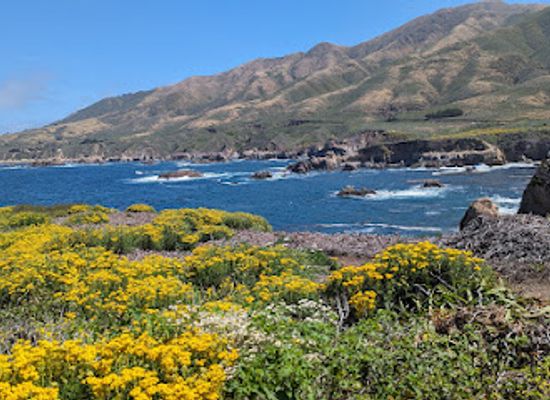 california/salinas-valley/attraction/soberanes-point