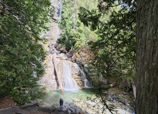 washington/northern-cascades/attraction/rainbow-falls-trailhead