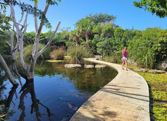 the-bahamas/eleuthera/attraction/leon-levy-native-plant-preserve