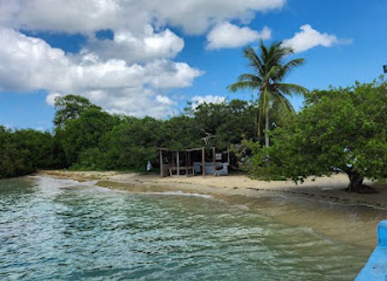 trinidad-and-tobago/buccoo-reef/attraction/frankie-tours-and-rentals