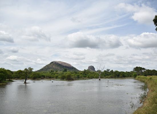 sri-lanka/dambulla/attraction/pidurangala-and-sigirya-rock-view-point