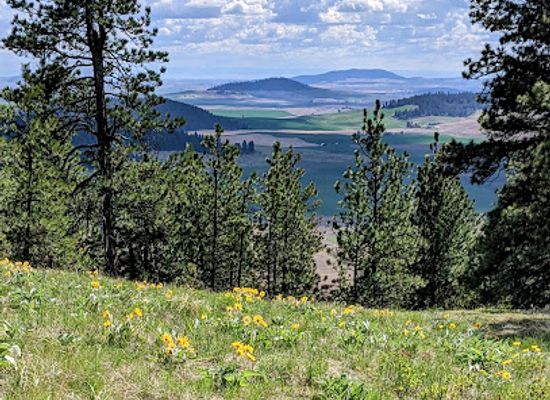 idaho/silver-valley/attraction/mccroskey-state-park