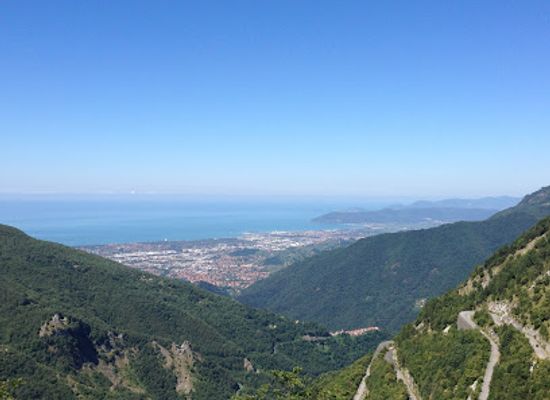italy/lunigiana/attraction/orto-botanico-delle-alpi-apuane-pietro-pellegrini
