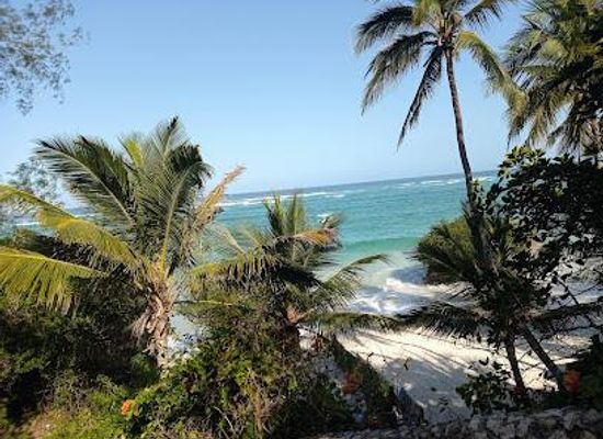 kenya/coastal-region/attraction/diani-beach