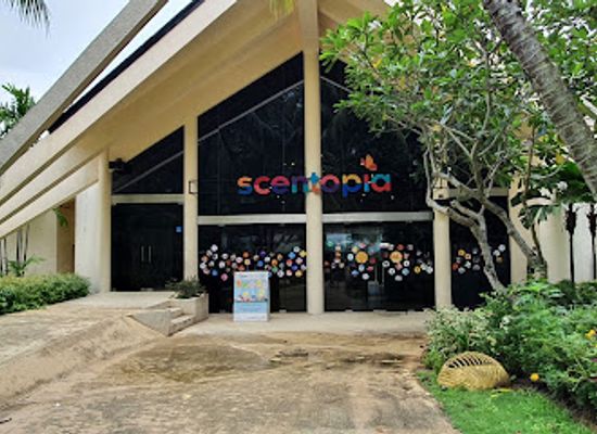 singapore/sentosa-island/attraction/scentopia-fun-activity-at-sentosa-orchid-scent-crafting-with-rainforest-essential-oils