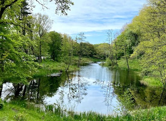 netherlands/the-hague/attraction/westduinpark
