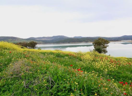 algeria/oued-righ/attraction/ile-de-sidi-el-mahdi