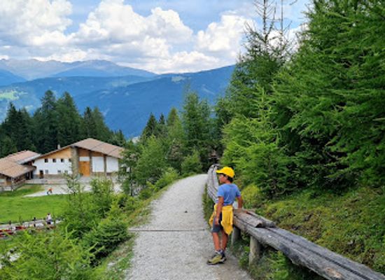 austria/stubai-valley/attraction/stubai-baumhausweg