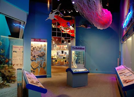 illinois/springfield/attraction/illinois-state-museum