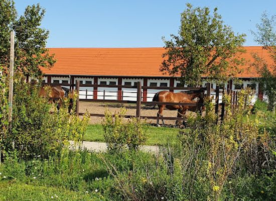 hungary/hortobagy/attraction/matai-menes