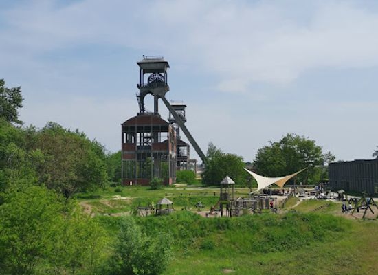 belgium/hoge-kempen-national-park/attraction/mijntorens