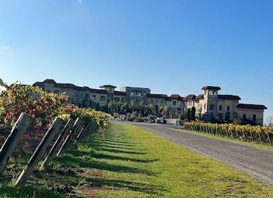 new-york/greater-niagara/attraction/colaneri-estate-winery