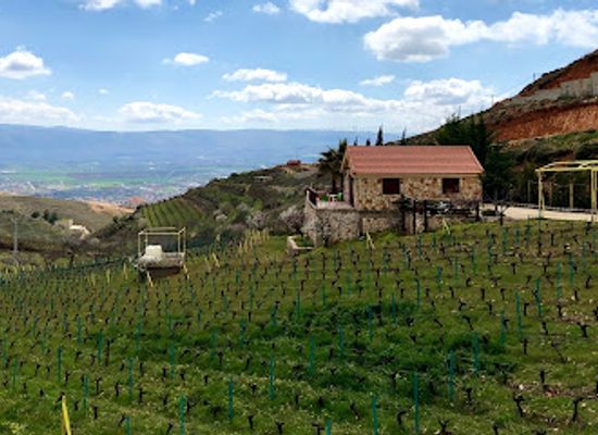 lebanon/bekaa/attraction/coteaux-du-liban