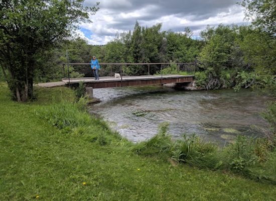 montana/central-montana/attraction/big-springs-trout-hatchery-park