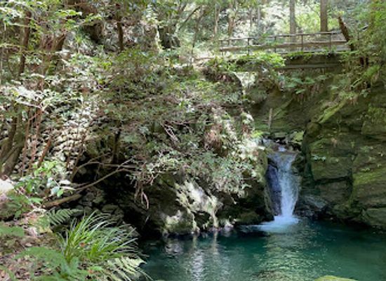 japan/shikoku-island/attraction/kawaaobanoniirutakitsubo