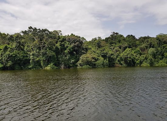 gabon/ogooue-maritime-province/attraction/ndogo-lagoon