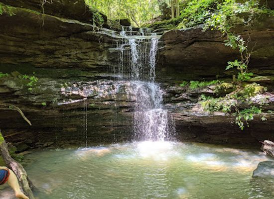 alabama/shoals/attraction/cane-creek-canyon-nature-preserve