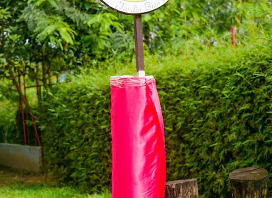 gabon/akanda-national-park/attraction/le-citron-vert