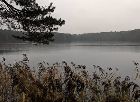lithuania/lithuanian-seaside/attraction/lake-balzis