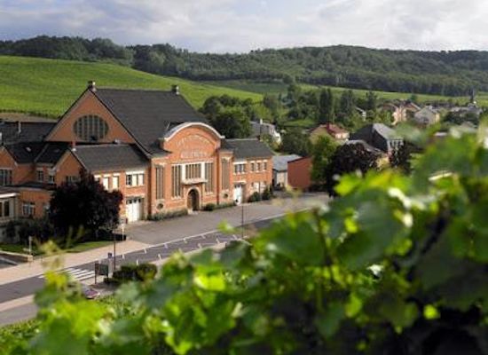 luxembourg/gutland/attraction/domaines-vinsmoselle-caves-des-vignerons-wellenstein