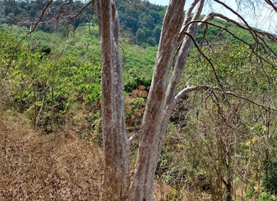 thailand/koh-lanta/attraction/koh-lanta-where-our-land-is