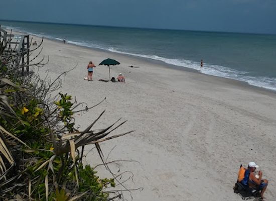 florida/treasure-coast/attraction/turtle-trail-beach-access