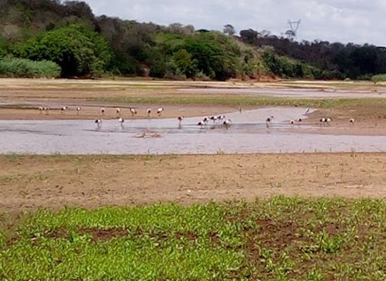kenya/coastal-region/attraction/malindi-museum