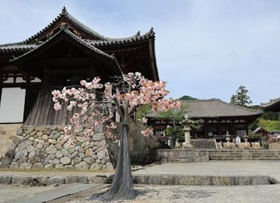 japan/kawachi/attraction/taima-dera