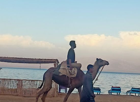 egypt/nuweiba/attraction/tarabin-beach