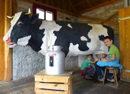 austria/burgenland/attraction/kuhmelkspiel