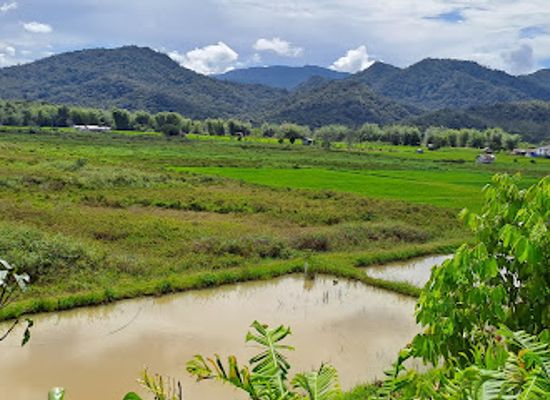 malaysia/borneo/attraction/bario-sarawak-malaysian-borneo