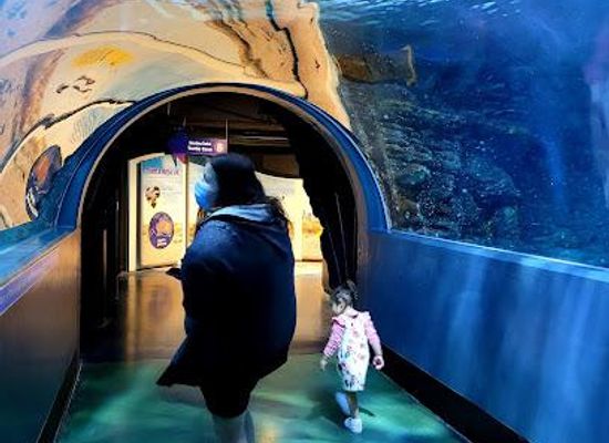 australia/melbourne/attraction/sea-life-melbourne-aquarium