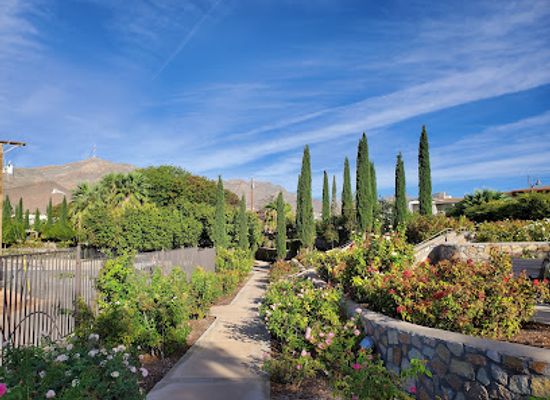 texas/el-paso/attraction/el-paso-municipal-rose-garden