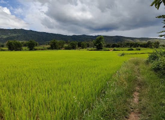 laos/xiangkhoang-province/attraction/plain-of-jars-site-3-ticket-office