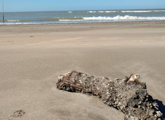 argentina/litoral/attraction/punta-rasa