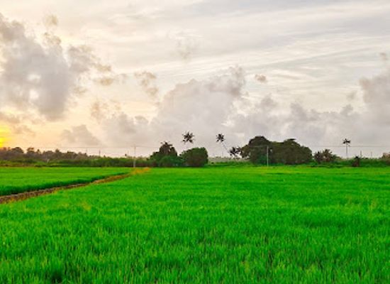 india/alleppey/attraction/chungom-view-point