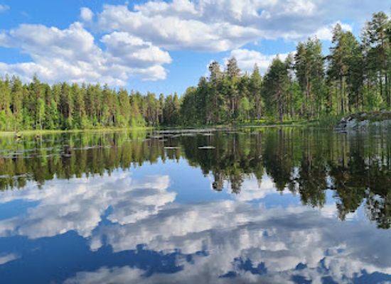 sweden/norrbotten/attraction/glaskogens-naturreservat