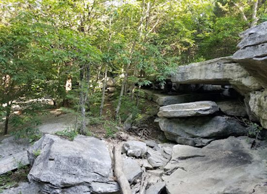 alabama/monte-sano-state-park/attraction/land-trust-of-north-alabama-monte-sano-nature-preserve-oak-park-trailhead
