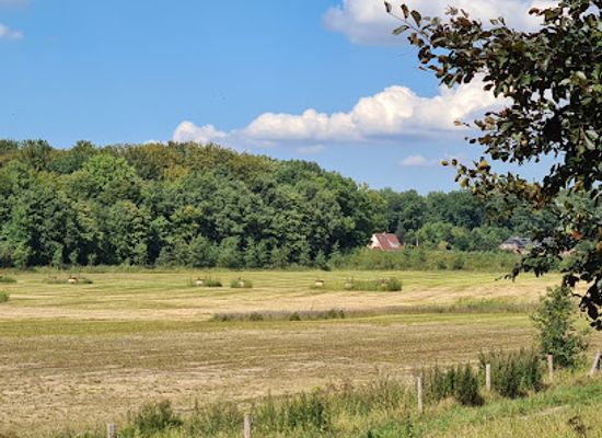 netherlands/betuwe/attraction/boswallen-oranje-nassau-oord