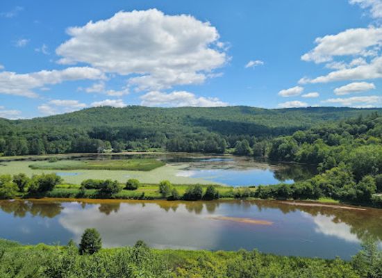 vermont/green-mountains/attraction/vins-nature-center
