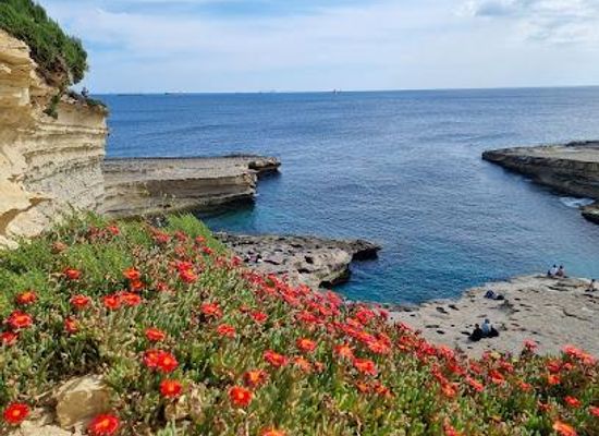 malta/zejtun/attraction/st-peter-s-pool
