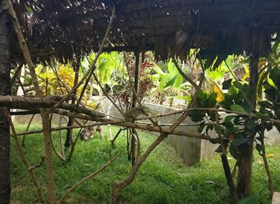 madagascar/nosy-be/attraction/lemuria-land