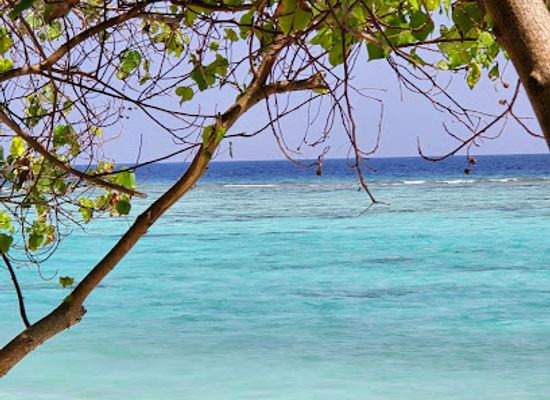 maldives/thoddoo/attraction/thoddoo-sunrise-guest-beach