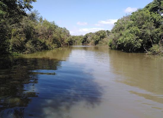 uruguay/litoral/attraction/esteros-de-farrapos-national-park