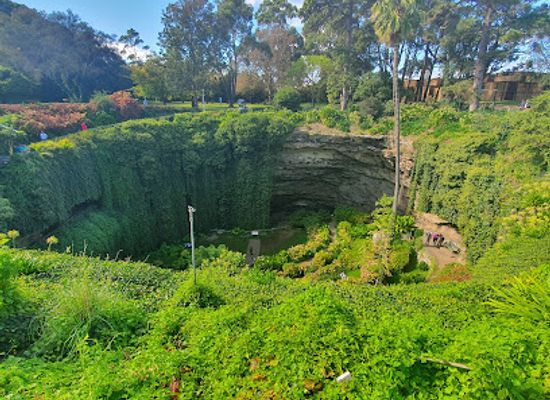 australia/limestone-coast/attraction/umpherston-sinkhole-balumbul